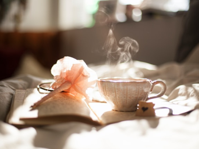 To illustrate a love of writing, an open book in a sunlit room with a flower and steaming cup of tea on top.