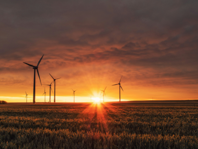 Photo of a field with windmills in it at sunset to illustrate the light we become when we participate in my Giveaway for Good